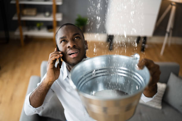 Best Water damage mitigation services  in Mannington, WV