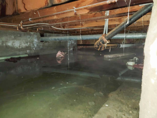 Local water damage restoration in Mannington, WV
