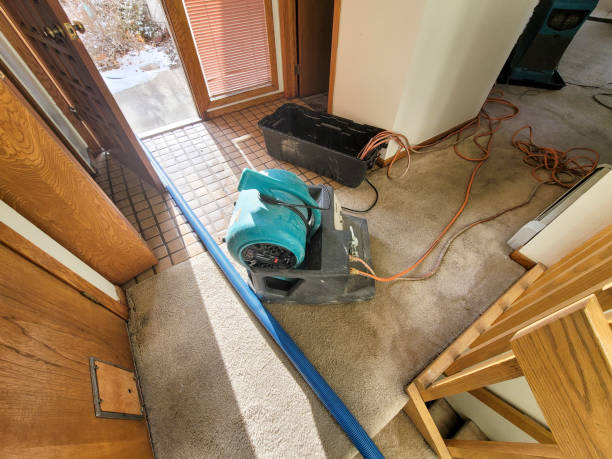 Professional Water damage restoration in Mannington, WV
