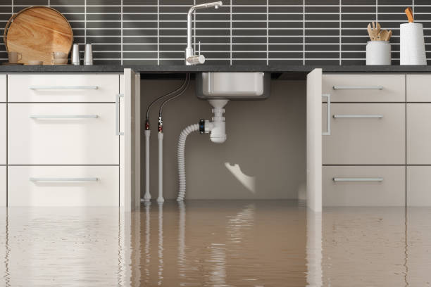 Best Basement water damage restoration  in Mannington, WV