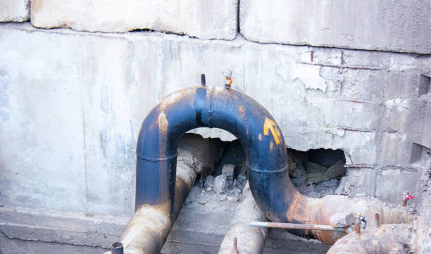 Best Mold removal after water damage  in Mannington, WV