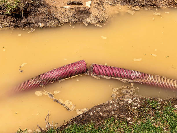 Best 24-hour water damage restoration  in Mannington, WV